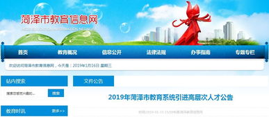 招考丨招381人 菏泽教育系统招聘了,涉及各县区学校