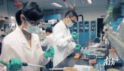 进军农业现代化|没有阳光土壤,蔬菜如何生长?探秘海丰神秘的植物工厂