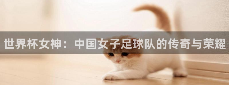 世界杯预选赛亚洲：世界杯女神：中国女子足球队的传奇与荣耀
