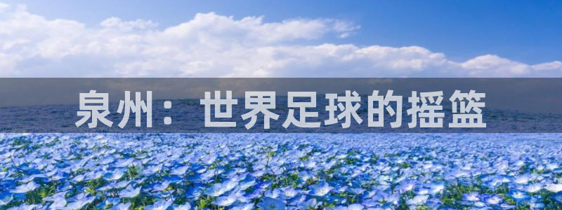 世界杯 直播：泉州：世界足球的摇篮