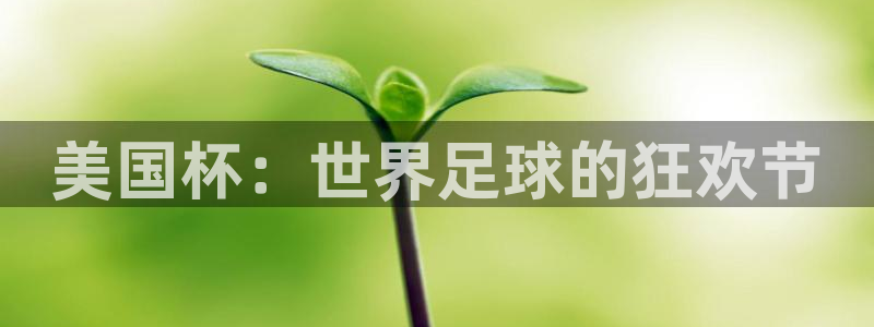 世界杯在线直播：美国杯：世界足球的狂欢节