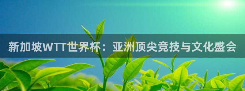 2026世界杯买球：新加坡WTT世界杯：亚洲顶尖竞技与文化盛会
