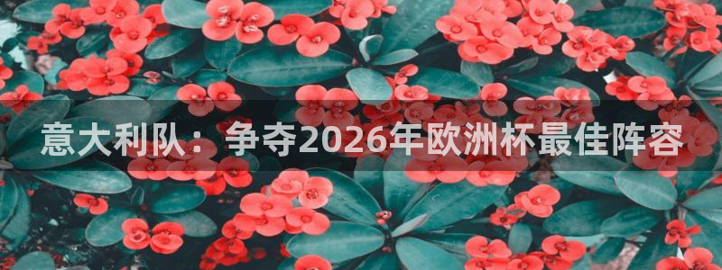 足球世界杯2026：意大利队：争夺2026年欧洲杯最佳阵容