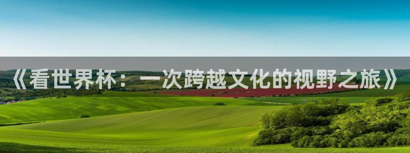 2026世界杯赛：《看世界杯：一次跨越文化的视野之旅》