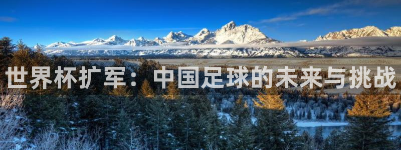 世预赛直播：世界杯扩军：中国足球的未来与挑战