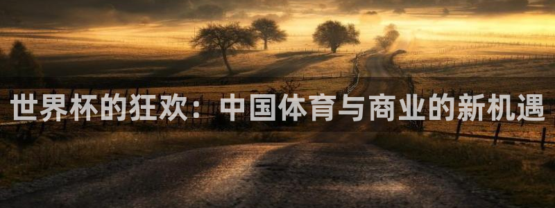 2026年世界杯直播平台:世界杯的狂欢:中国体育与商业的新机遇