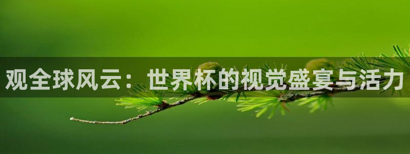 2026世界杯预选赛:观全球风云:世界杯的视觉盛宴与活力