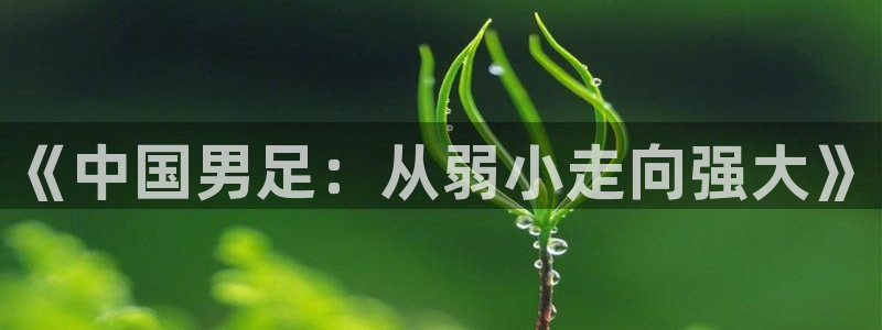 世界杯亚洲区预选赛积分榜:《中国男足:从弱小走向强大》