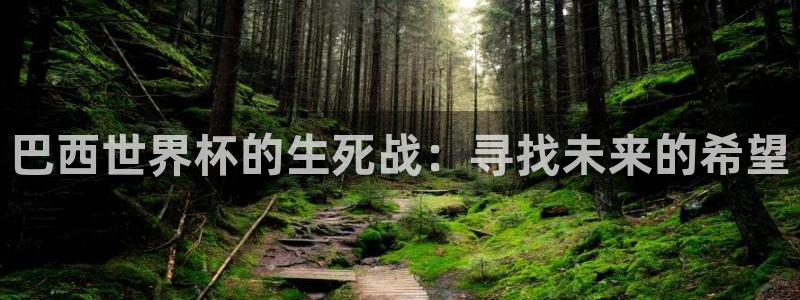 世界杯球队排名：巴西世界杯的生死战：寻找未来的希望