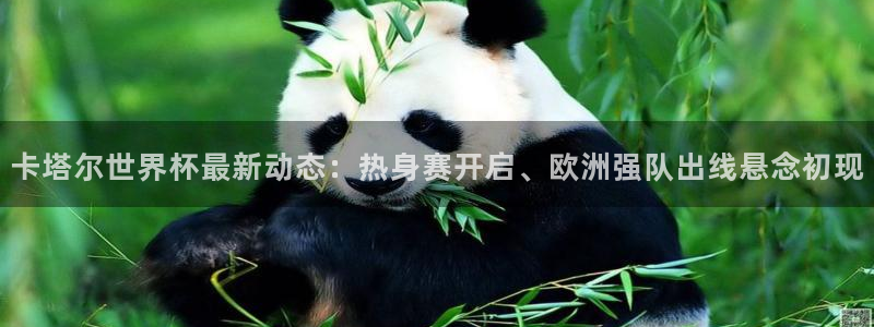 世界杯预选赛赛程：卡塔尔世界杯最新动态：热身赛开启、欧洲强队出线悬念初现