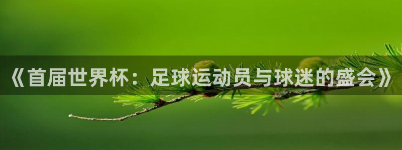 足球杯:《首届世界杯:足球运动员与球迷的盛会》